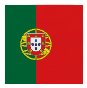 Blister 20 Guardanapos Portugal 33x33Cm