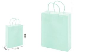 Saco Papel Verde Água 120Grs.