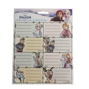 Blister 16 Etiquetas Frozen Adventure