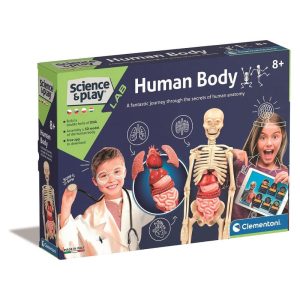 Jogo Anatomia do Corpo Humano 35x26Cm